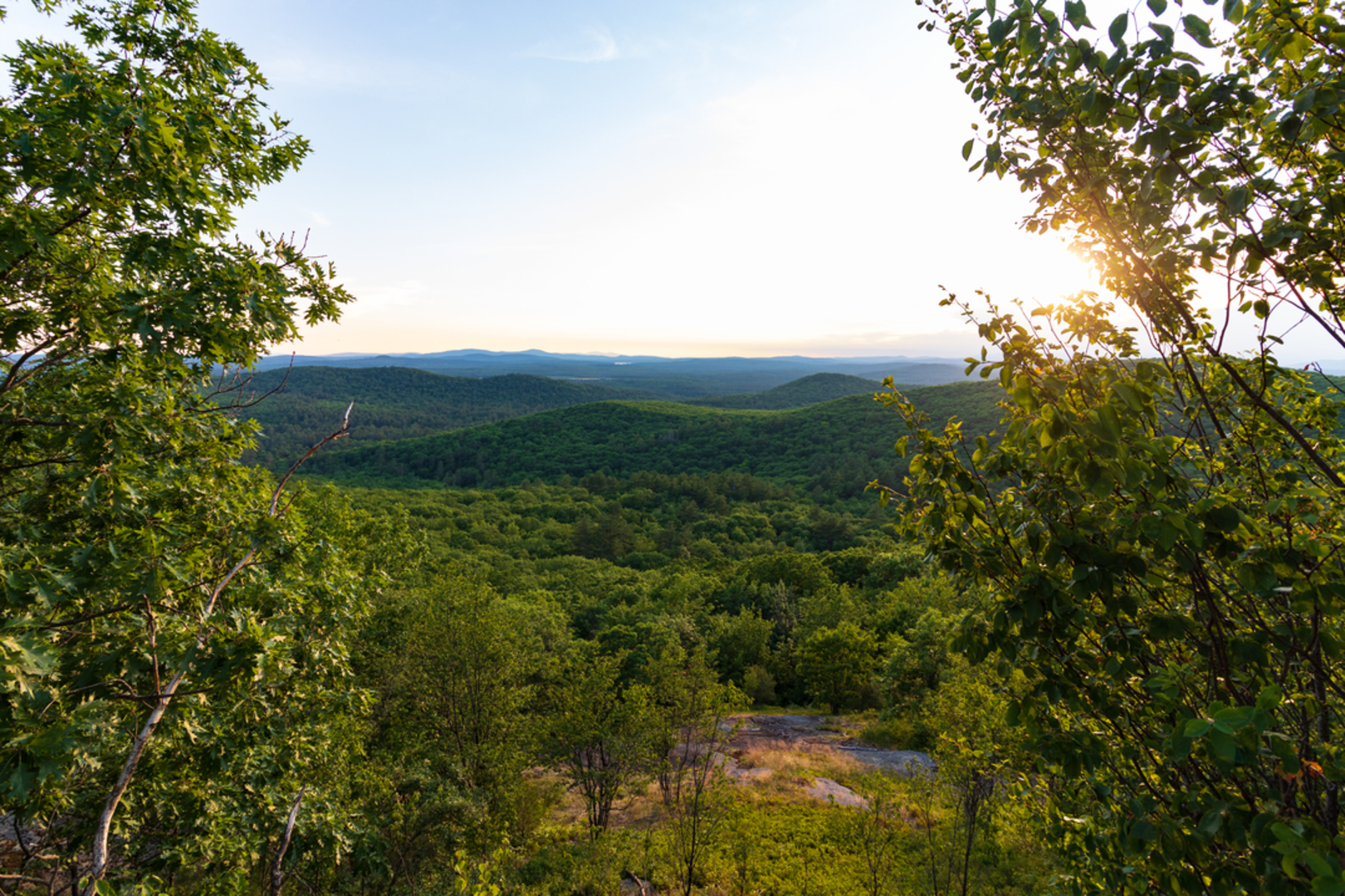 An image depicting the trail Abbott Mountain from Owls Nest Road and its surrounding area.