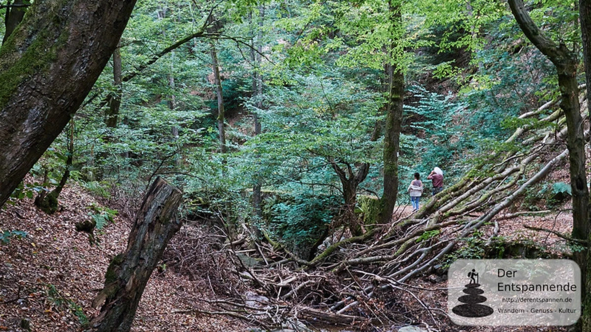 Burgmuseum, Prinzenkopf Walk to Bingen via Soonwaldsteig