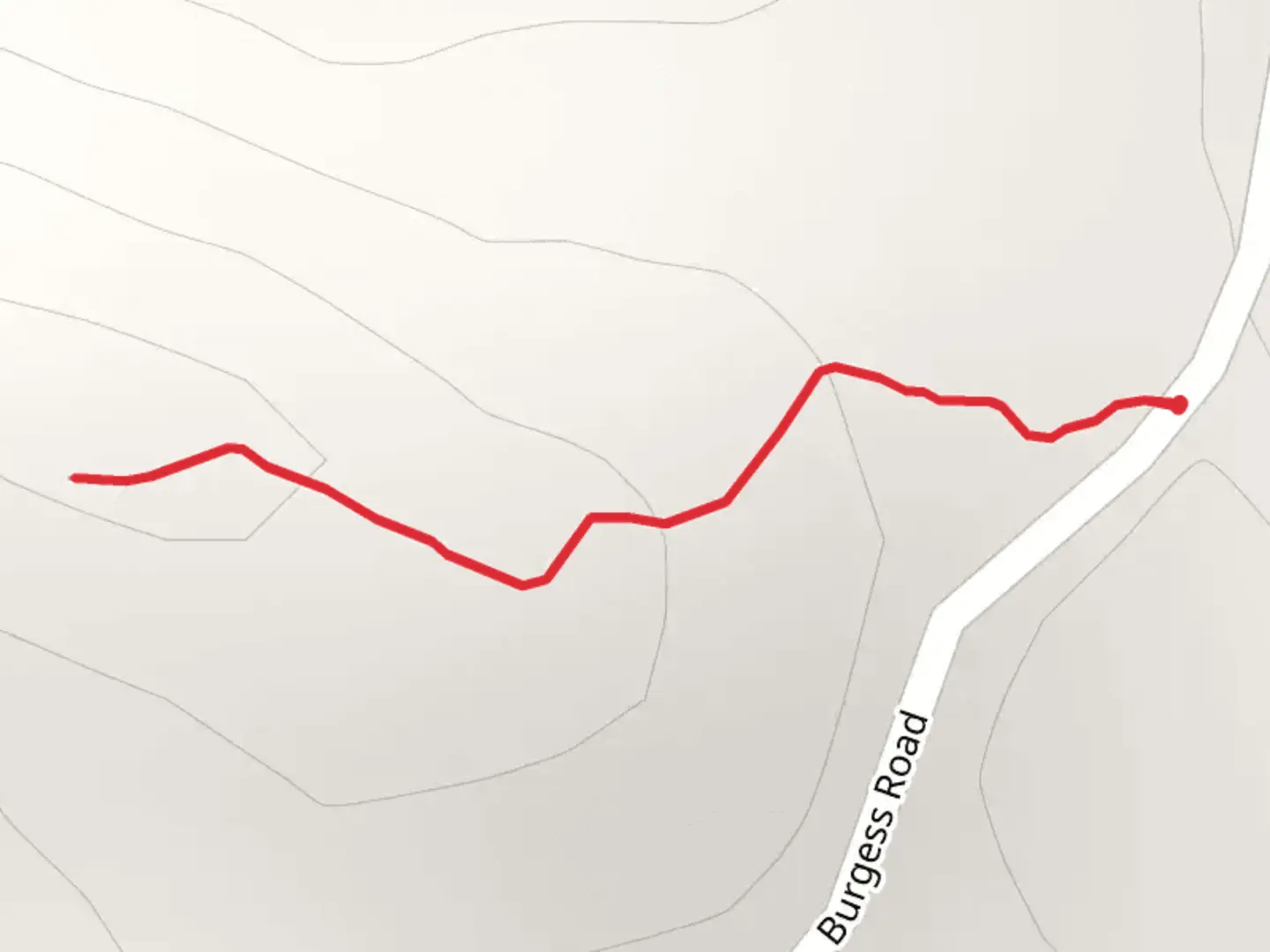 An image depicting the trail Burgess Mountain Trail and its surrounding area.