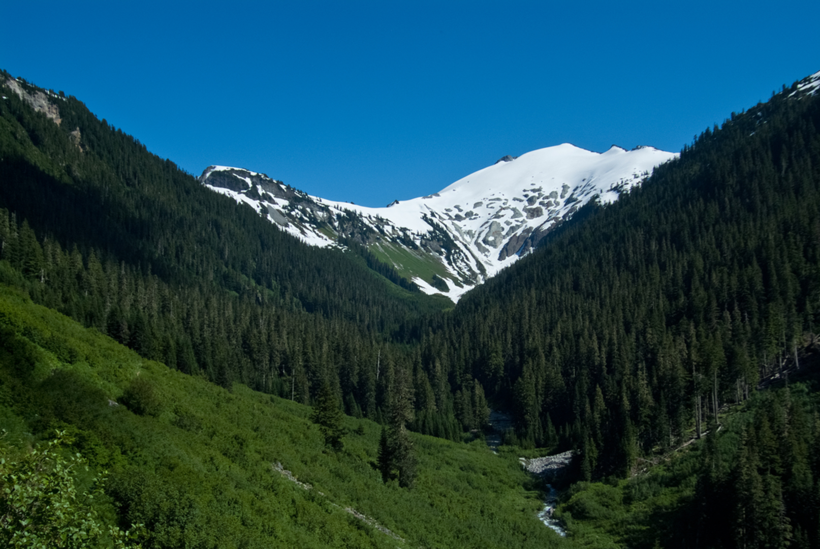 An image depicting the trail Hannegan Pass Trail and its surrounding area.