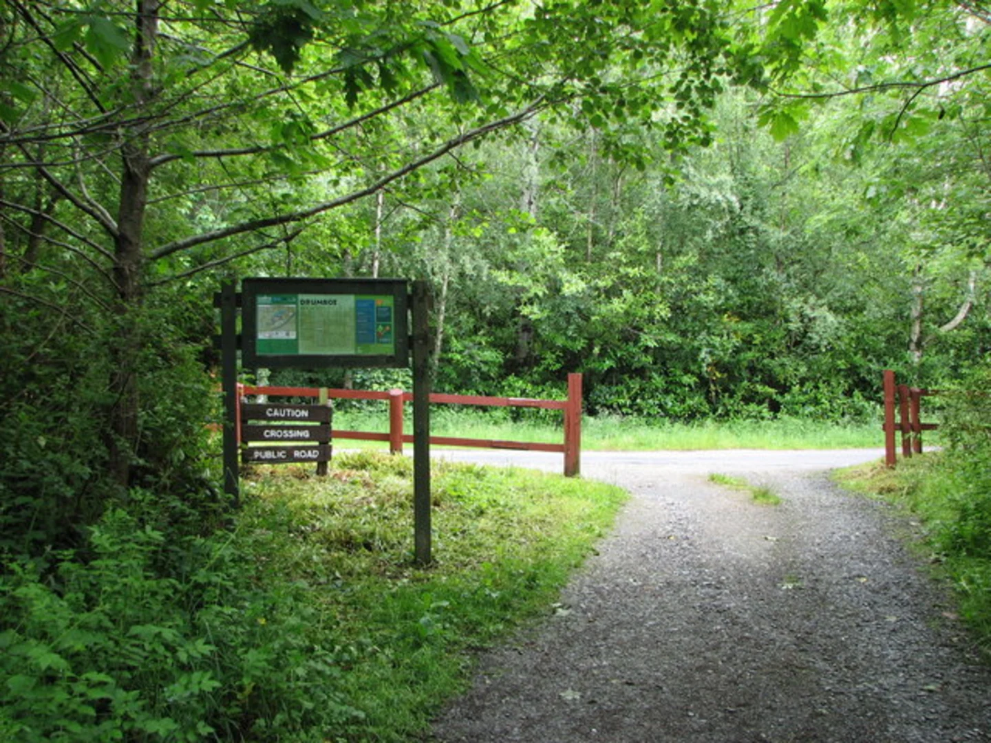 An image depicting the trail Drumboe - Loop Trail and its surrounding area.