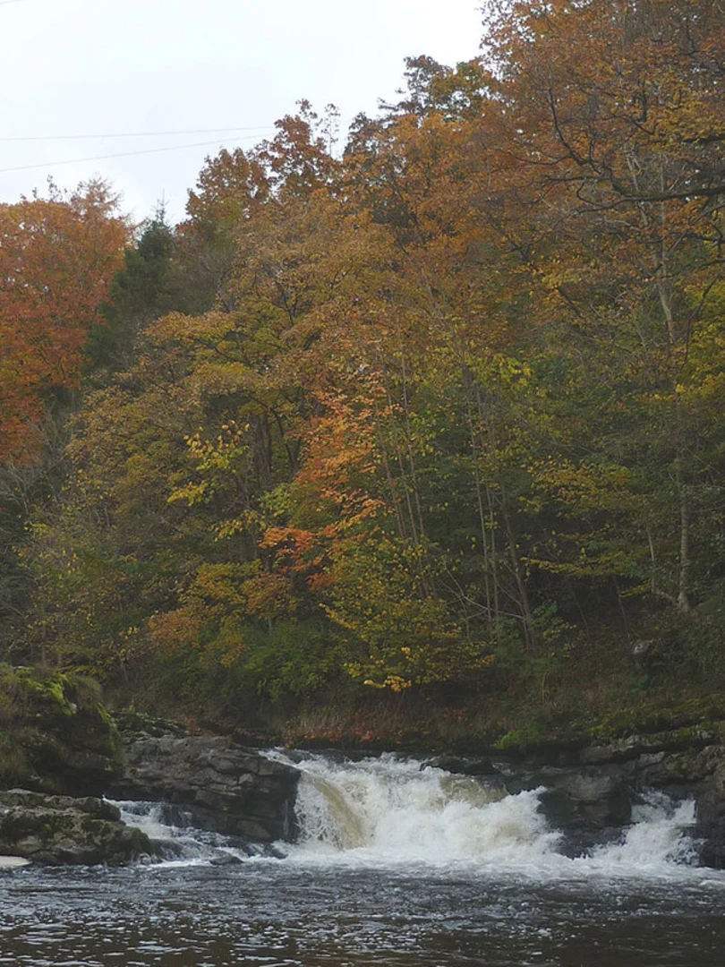 An image depicting the trail River Kent and Levens Park Loop and its surrounding area.