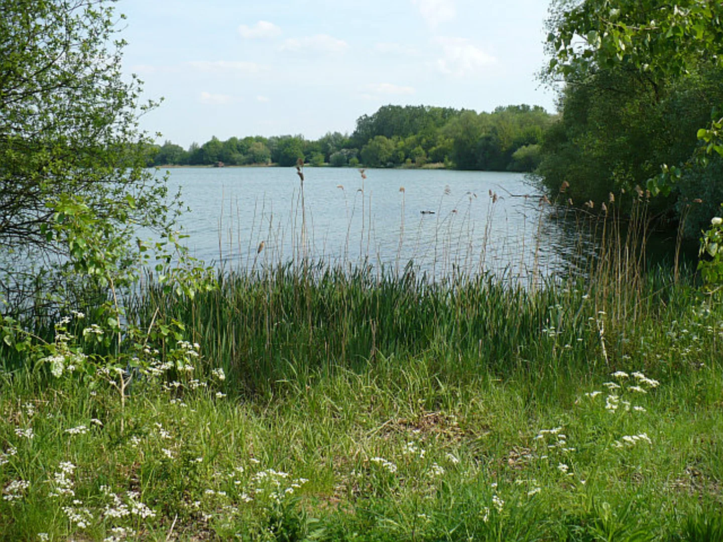An image depicting the trail Priory Country Park via Bedford to Sandy Country Way and its surrounding area.