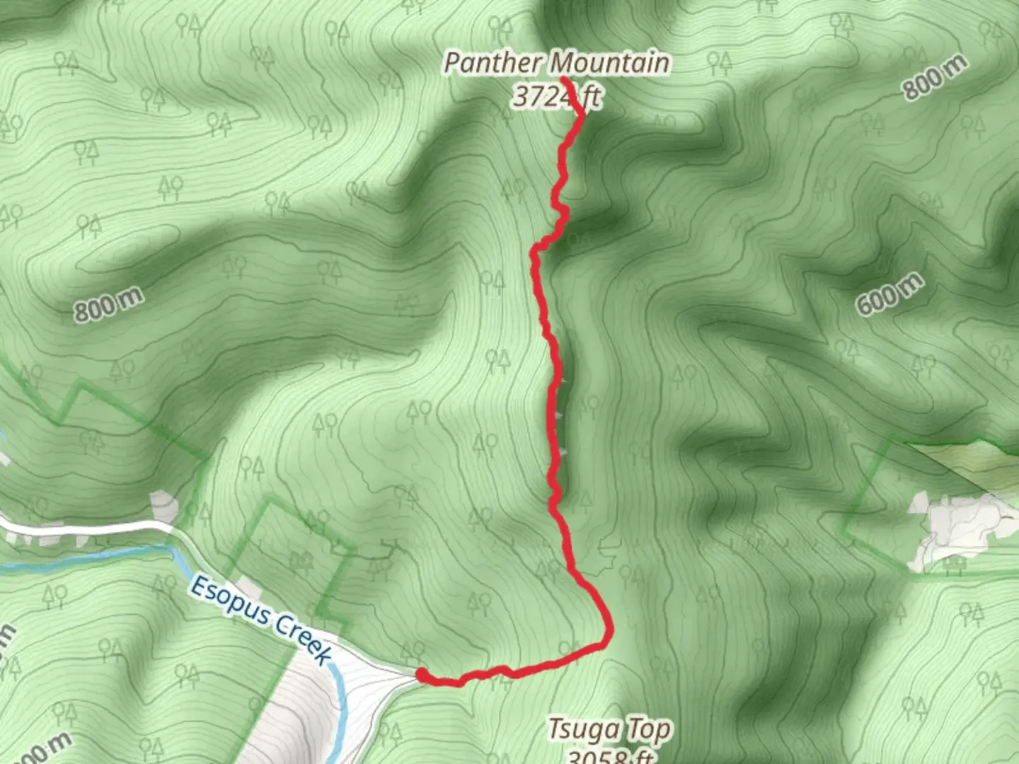 An image depicting the trail Panther Mountain from Phoenicia - East Branch Trail Out and Back and its surrounding area.