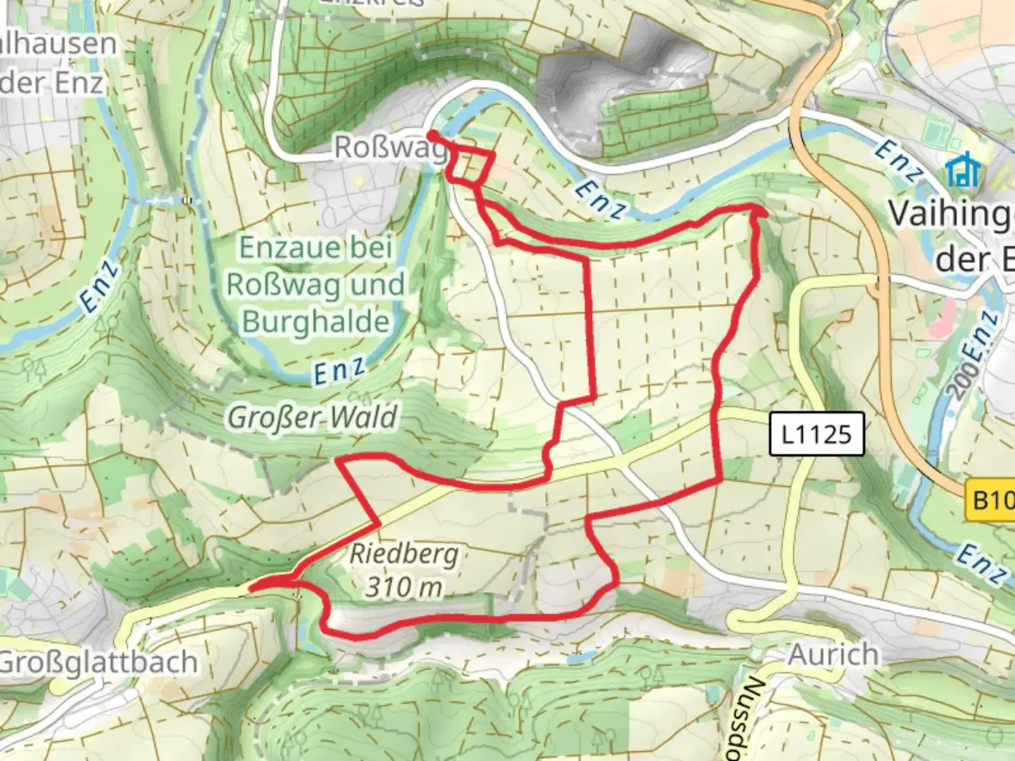An image depicting the trail Riedberg Rundweg Loop and its surrounding area.