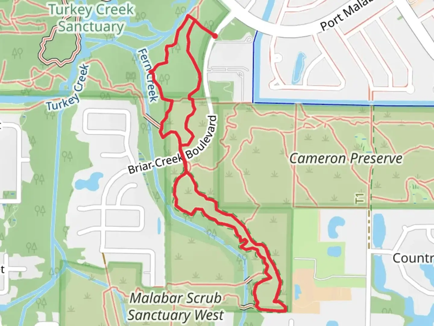 An image depicting the trail Red Loop Trail and its surrounding area.