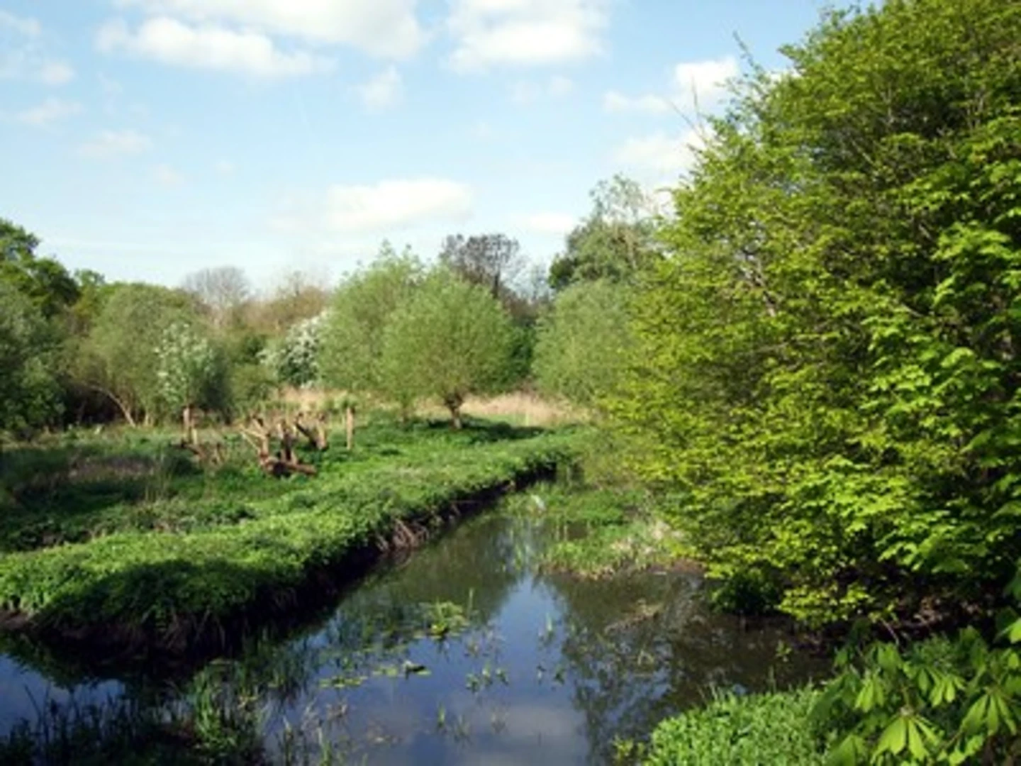 An image depicting the trail Crane Park and River Crane Walk and its surrounding area.