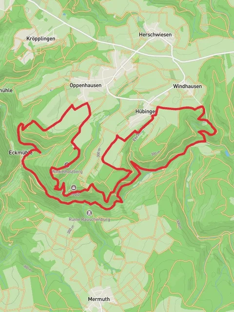 Winkelholzberg and Schoneckschleife Loop