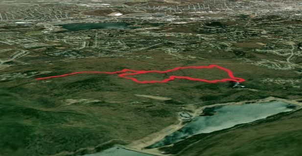 Kinney Woods and Holbrook Forest Loop