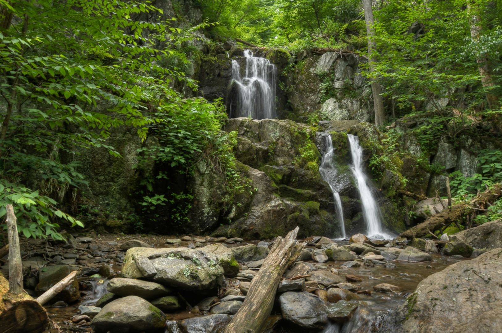 An image depicting the trail Doyles River Falls Trail and its surrounding area.
