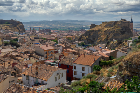Liver of Vicort - Calatayud PR Z 094-a