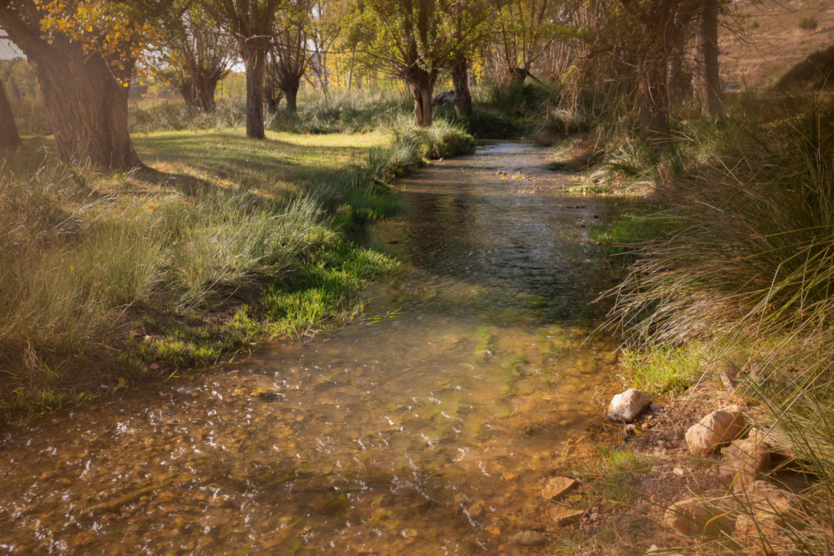 An image depicting the trail Morteruelo Route PR TE 38 and its surrounding area.