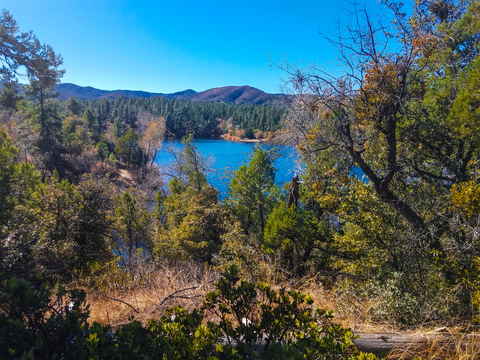 An image depicting the trail Lynx Creek Ruins Trail and its surrounding area.
