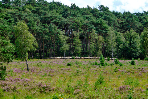 Brunssummerheide, Landgraaf and Groeve Sigrano Loop