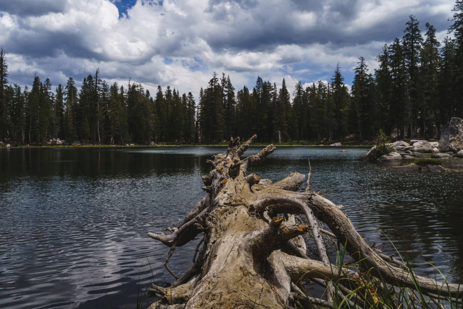 An image depicting the trail Brewer Lake and Tocher Lake Trail and its surrounding area.