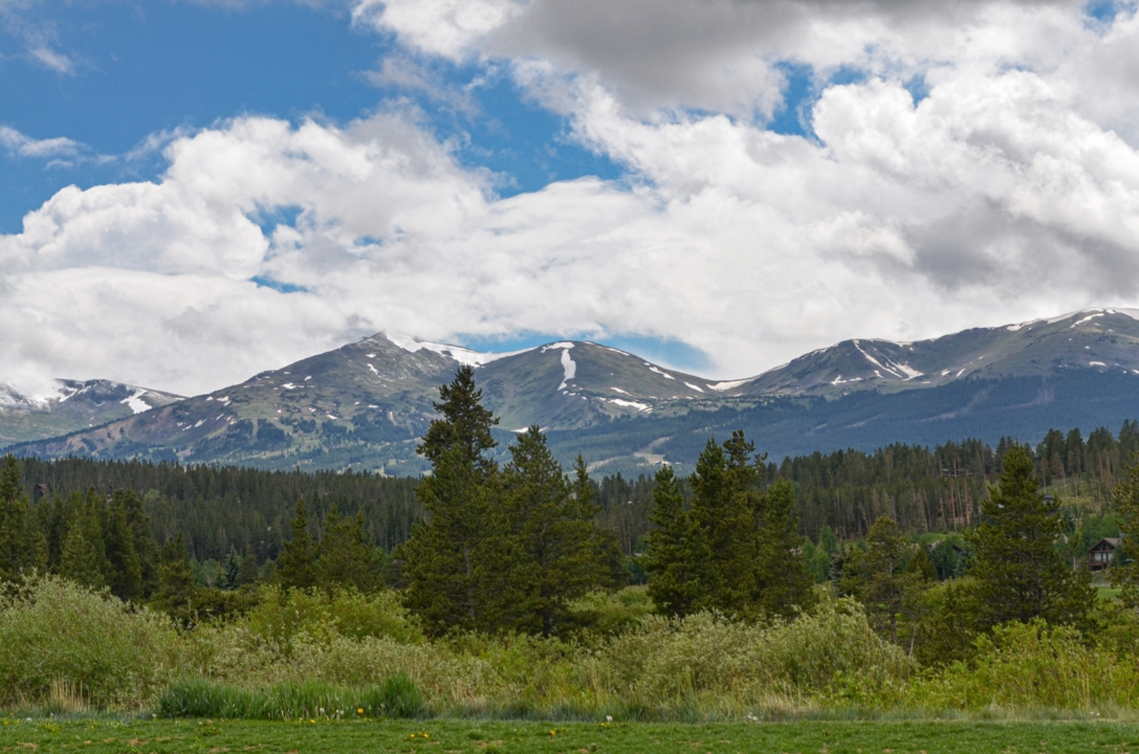 An image depicting the trail Miners Creek Trail and its surrounding area.