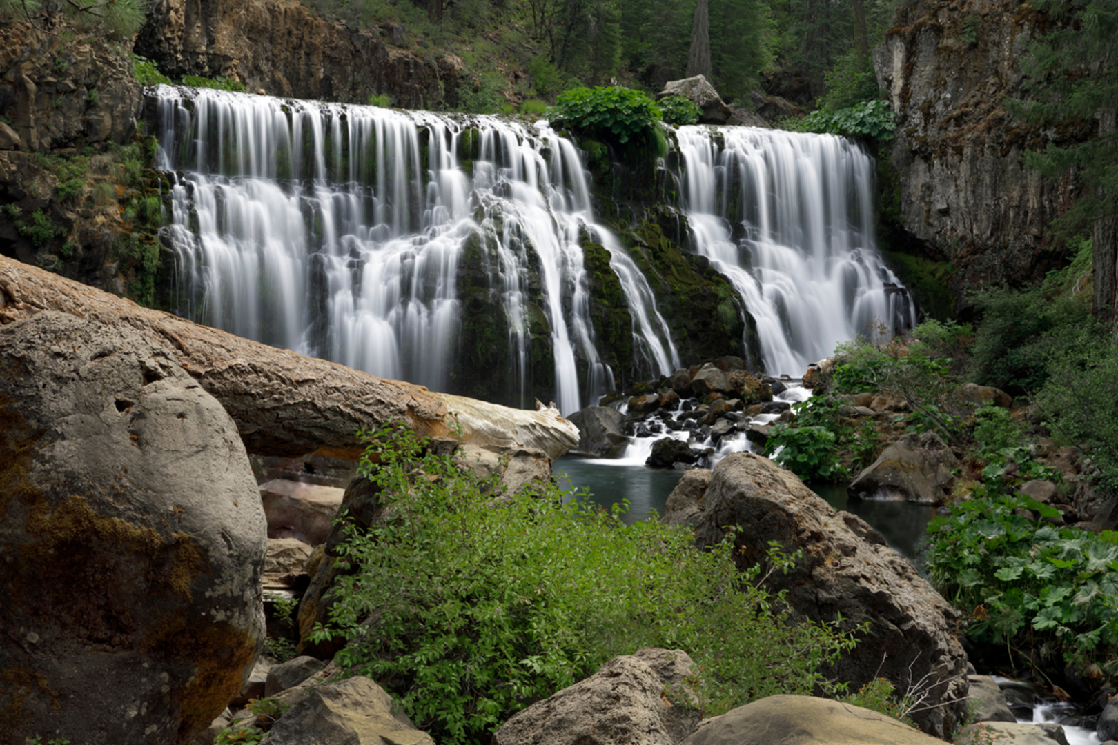 An image depicting the trail Upper Mccloud River Trail and its surrounding area.