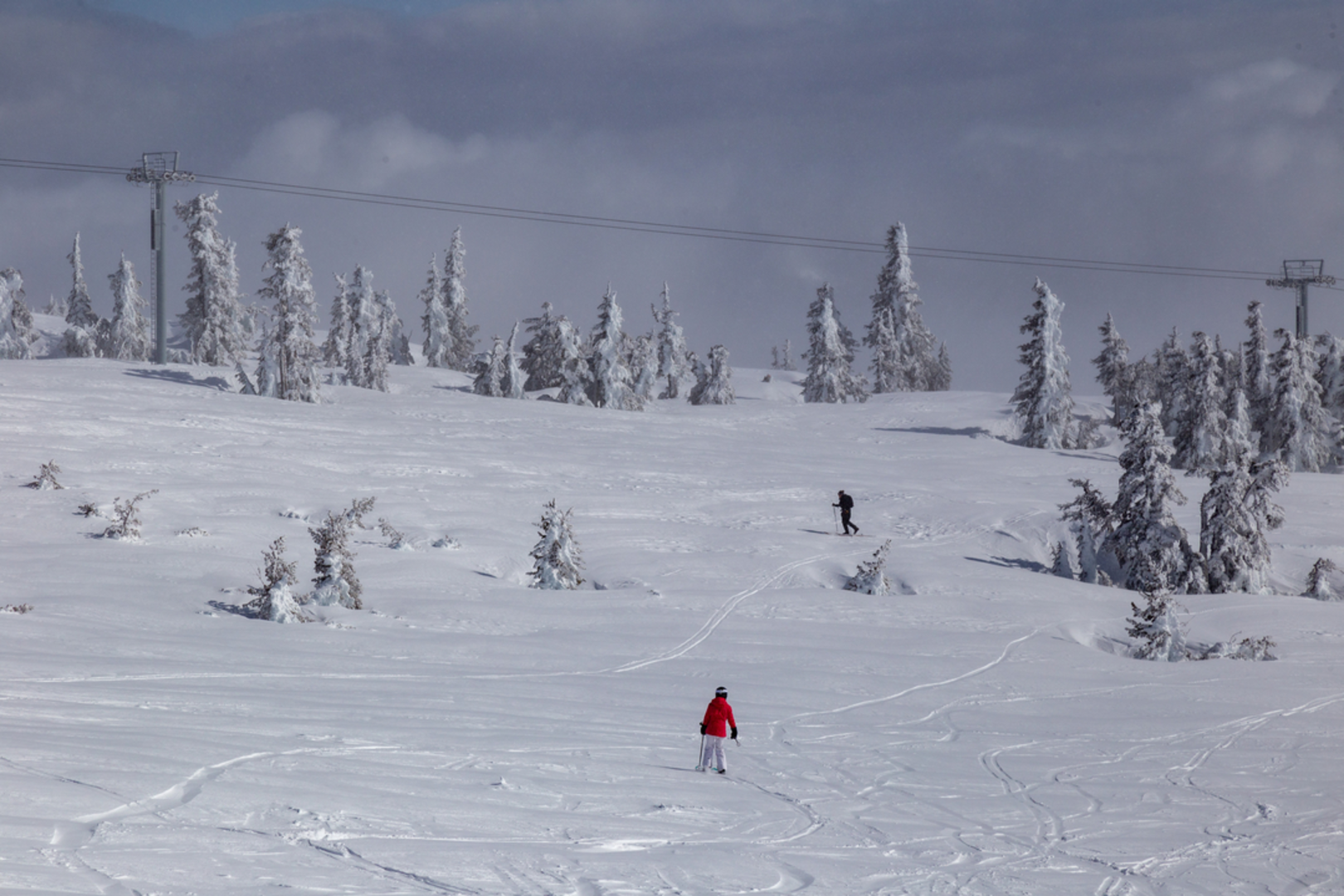 An image depicting the trail Wally's Tie Trail and its surrounding area.