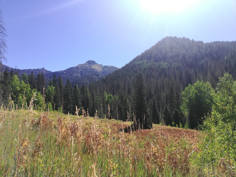 An image depicting the trail Mavreeso Trail and its surrounding area.