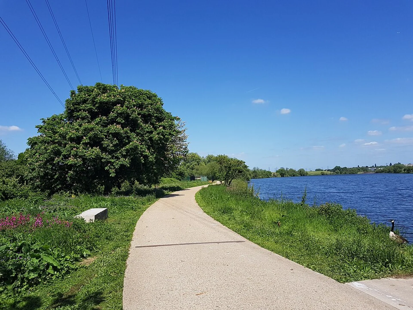 An image depicting the trail Walthamstow Wetlands Loop and its surrounding area.