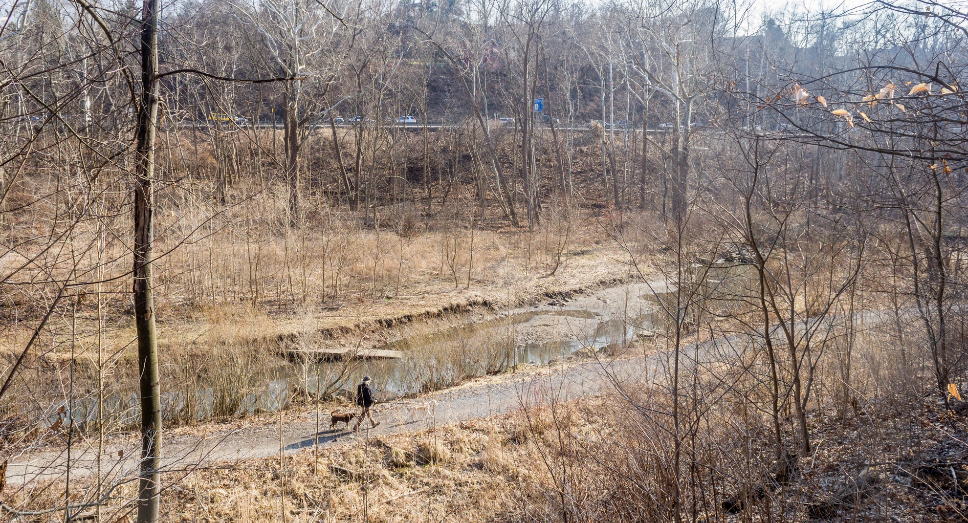 An image depicting the trail Riverview Hill Loop via Frick Park Trail and its surrounding area.