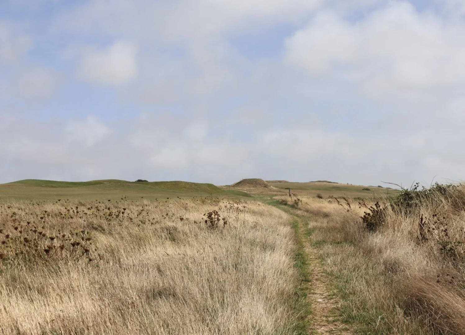 An image depicting the trail Tapnell Loop Trail via Western Yar Lake and its surrounding area.