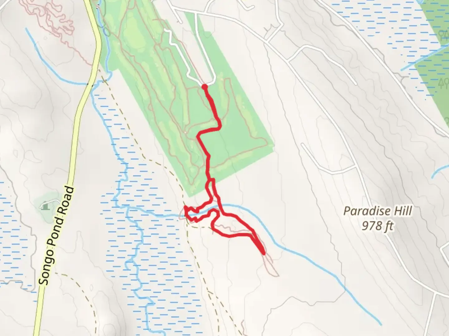 An image depicting the trail Bingham Loop and its surrounding area.