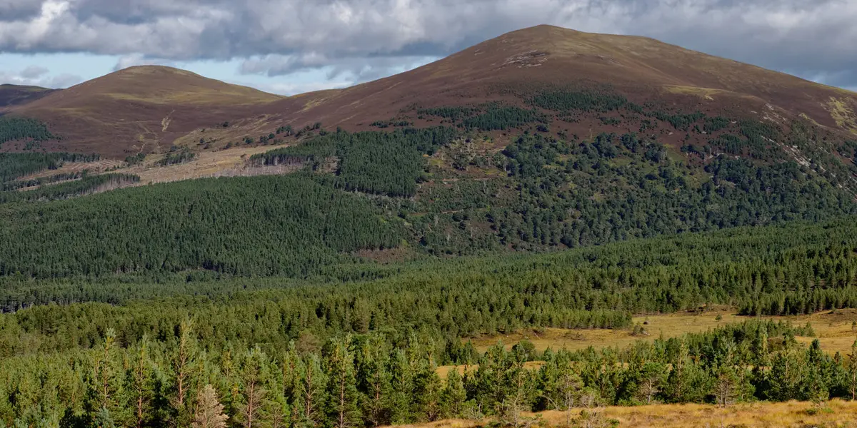 Meall a' Bhuachaille Loop From Glenmore Village