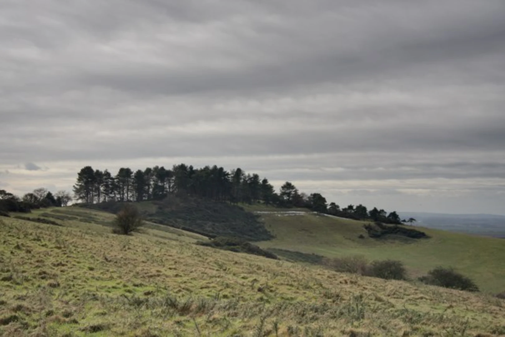 An image depicting the trail Pentridge Loop and its surrounding area.