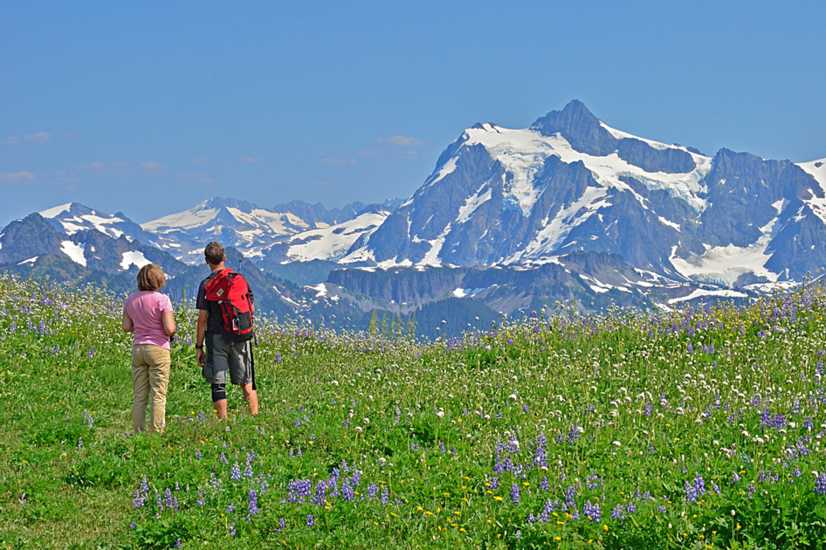 Ranger Camp Trail via Skyline Divide Trail