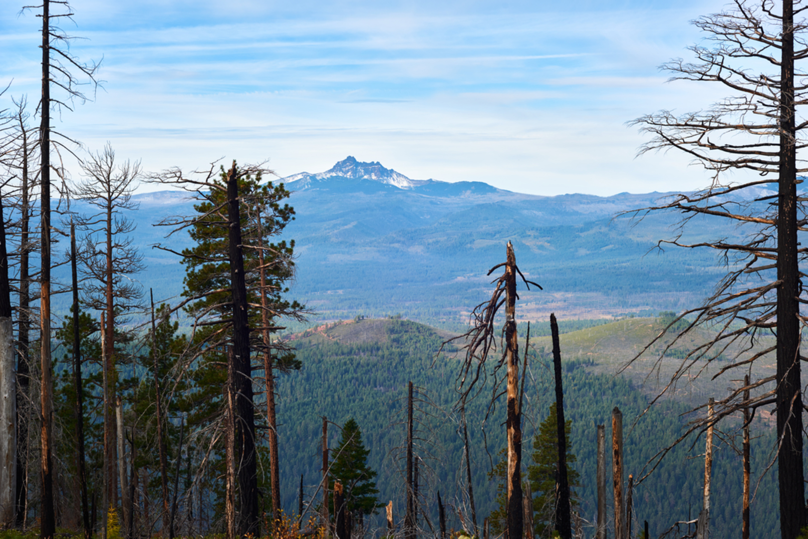 An image depicting the trail Old Summit Trail and its surrounding area.