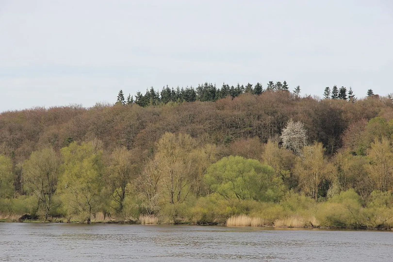 An image depicting the trail Escheburg - Elbkantinchen and its surrounding area.