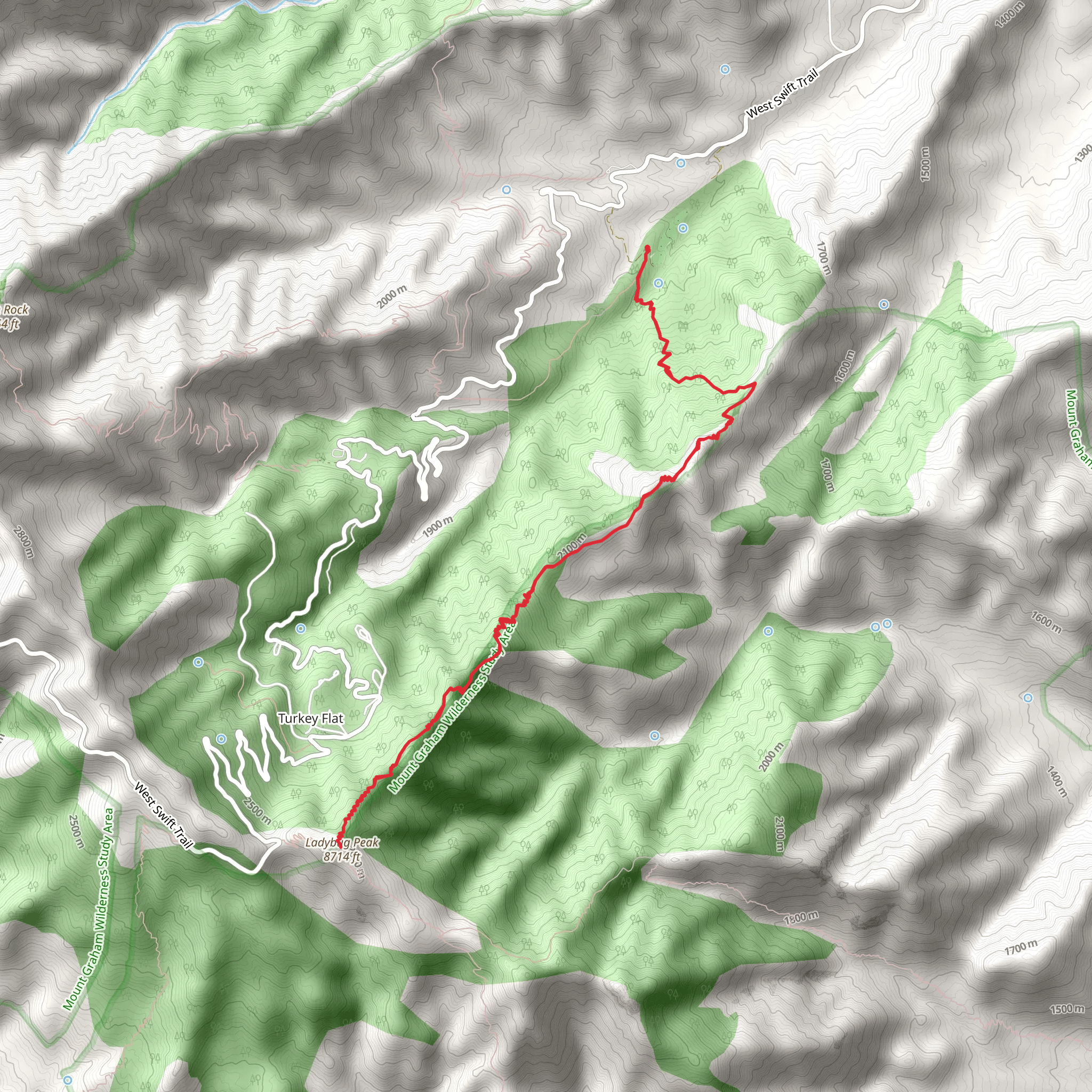 Ladybug Peak Trail mobile static map