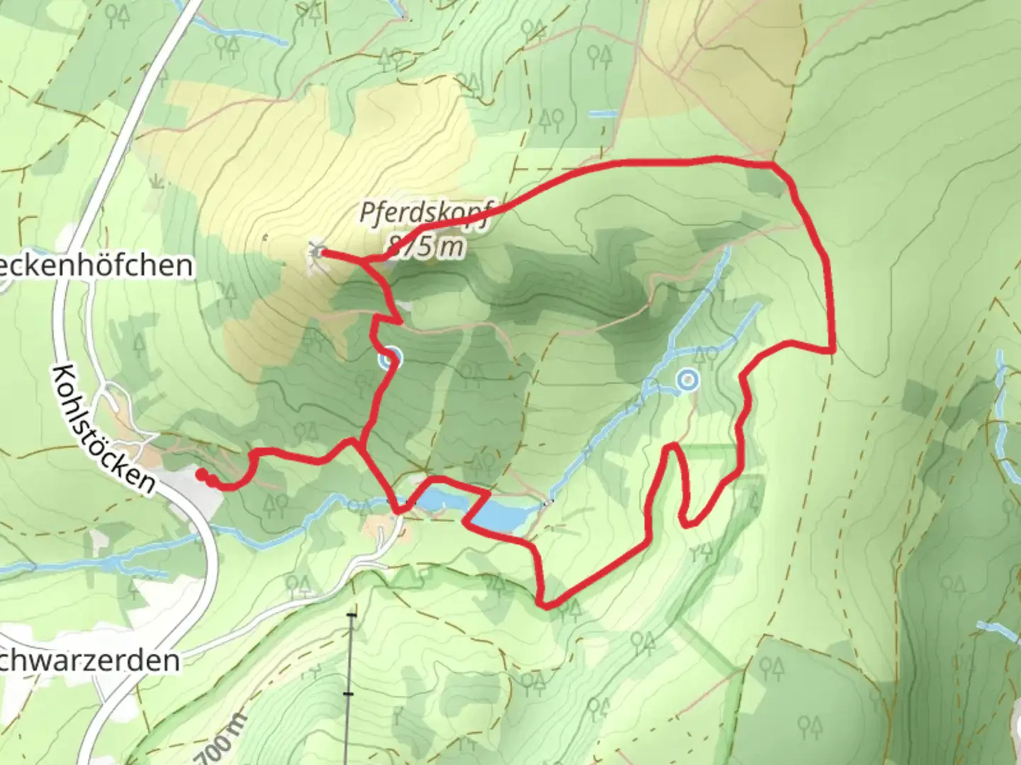 An image depicting the trail Kleine Schutzgrotte, Pferdskopf and Guckaisee Loop via Wasserkuppenrundweg and its surrounding area.