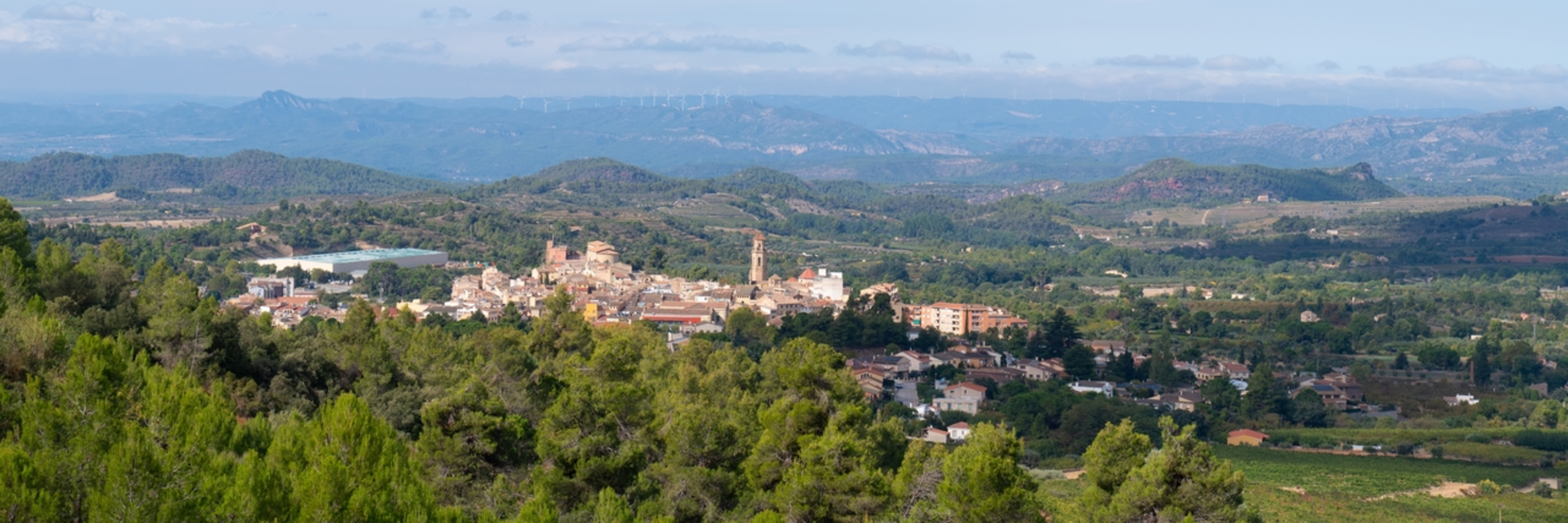 An image depicting the trail Falset Trail PR C 53 and its surrounding area.