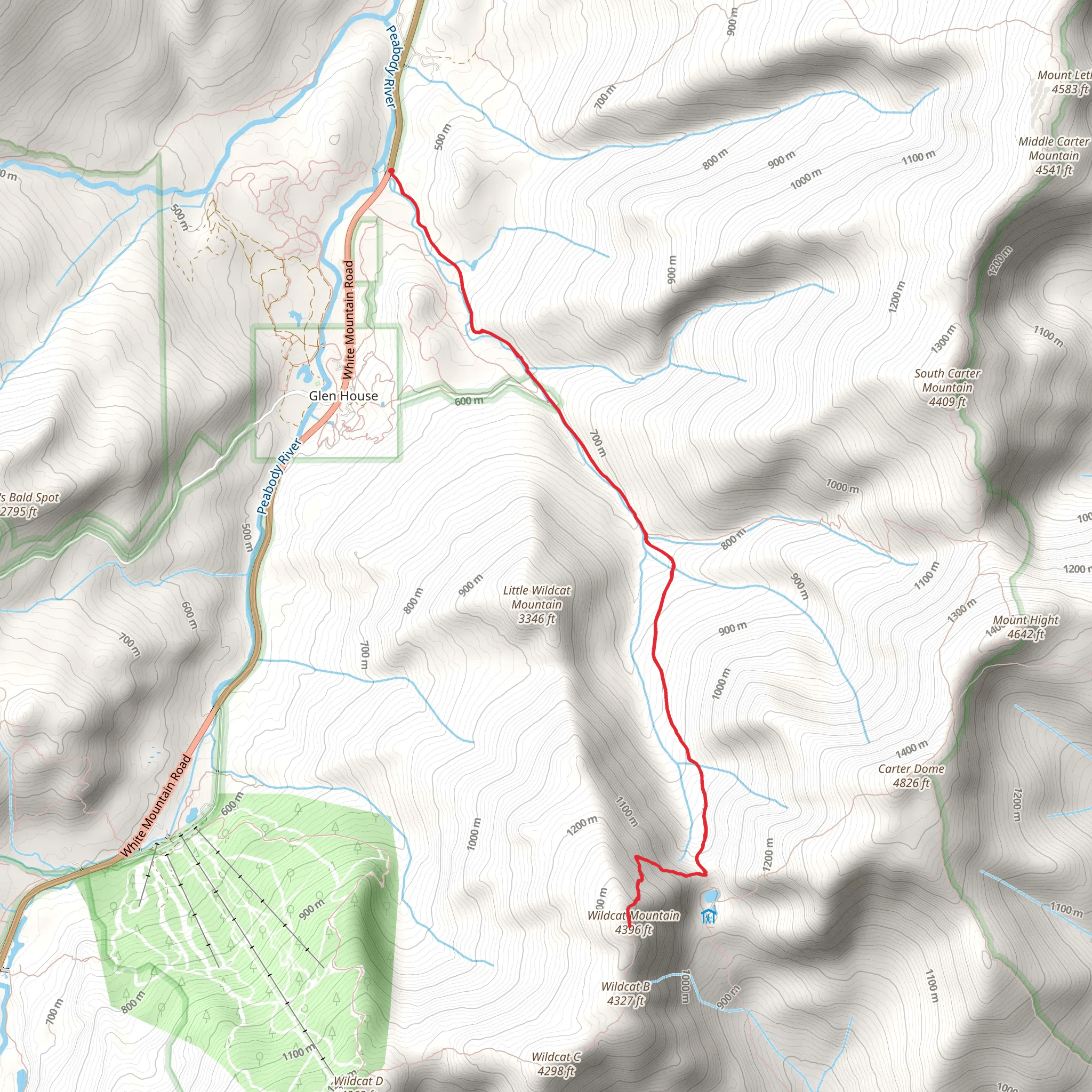 Wildcat Mountain via Nineteen Mile Brook Trail mobile static map