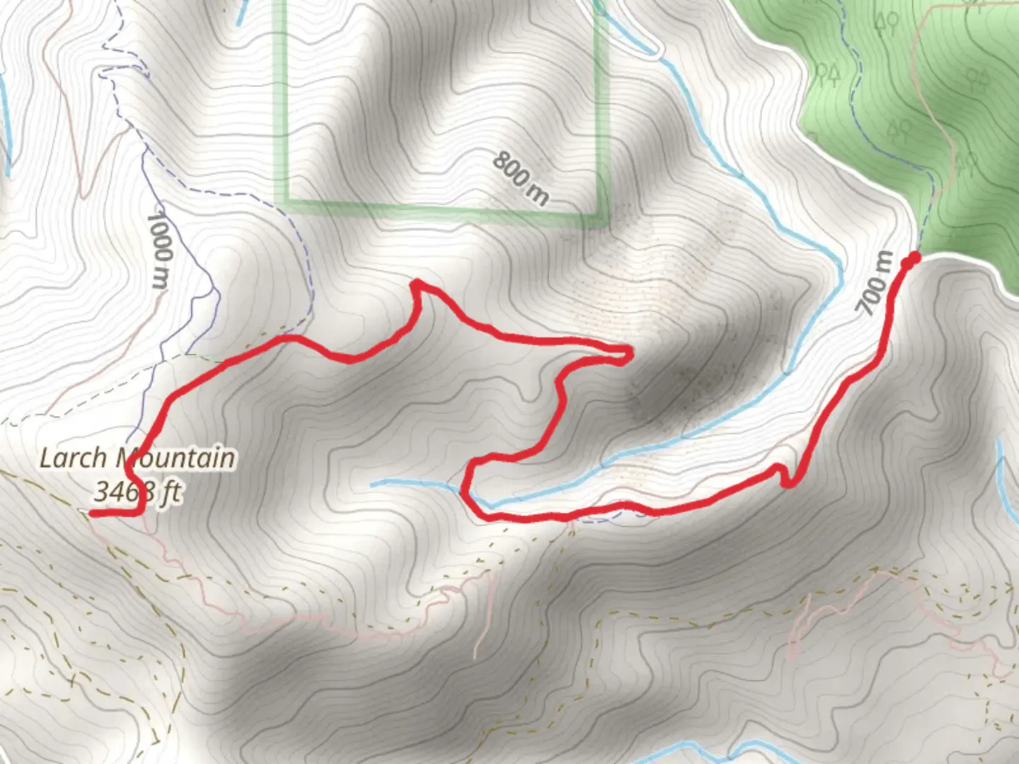 An image depicting the trail Larch Mountain via Tarbell Trail and its surrounding area.