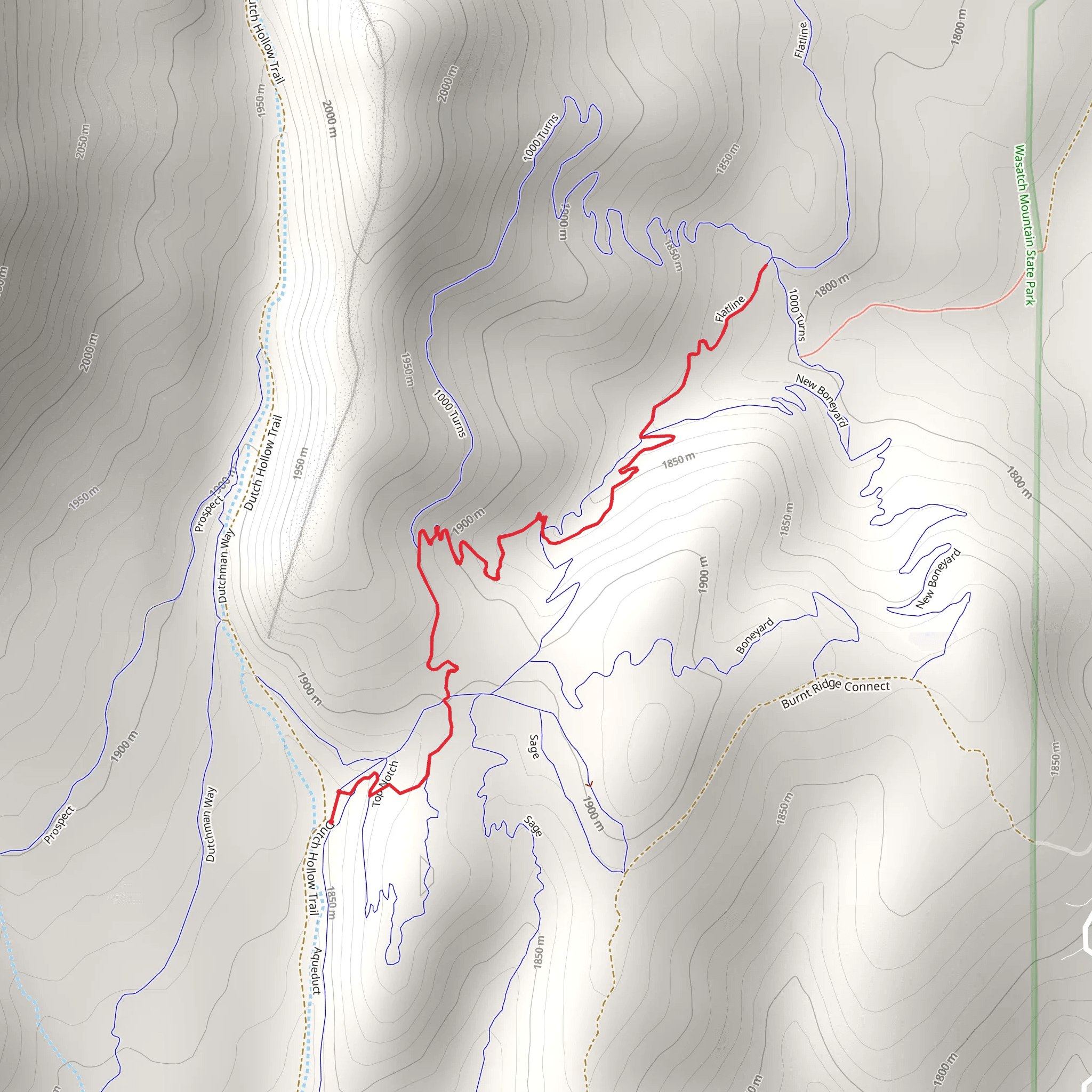 Enchanted Forest Walk mobile static map