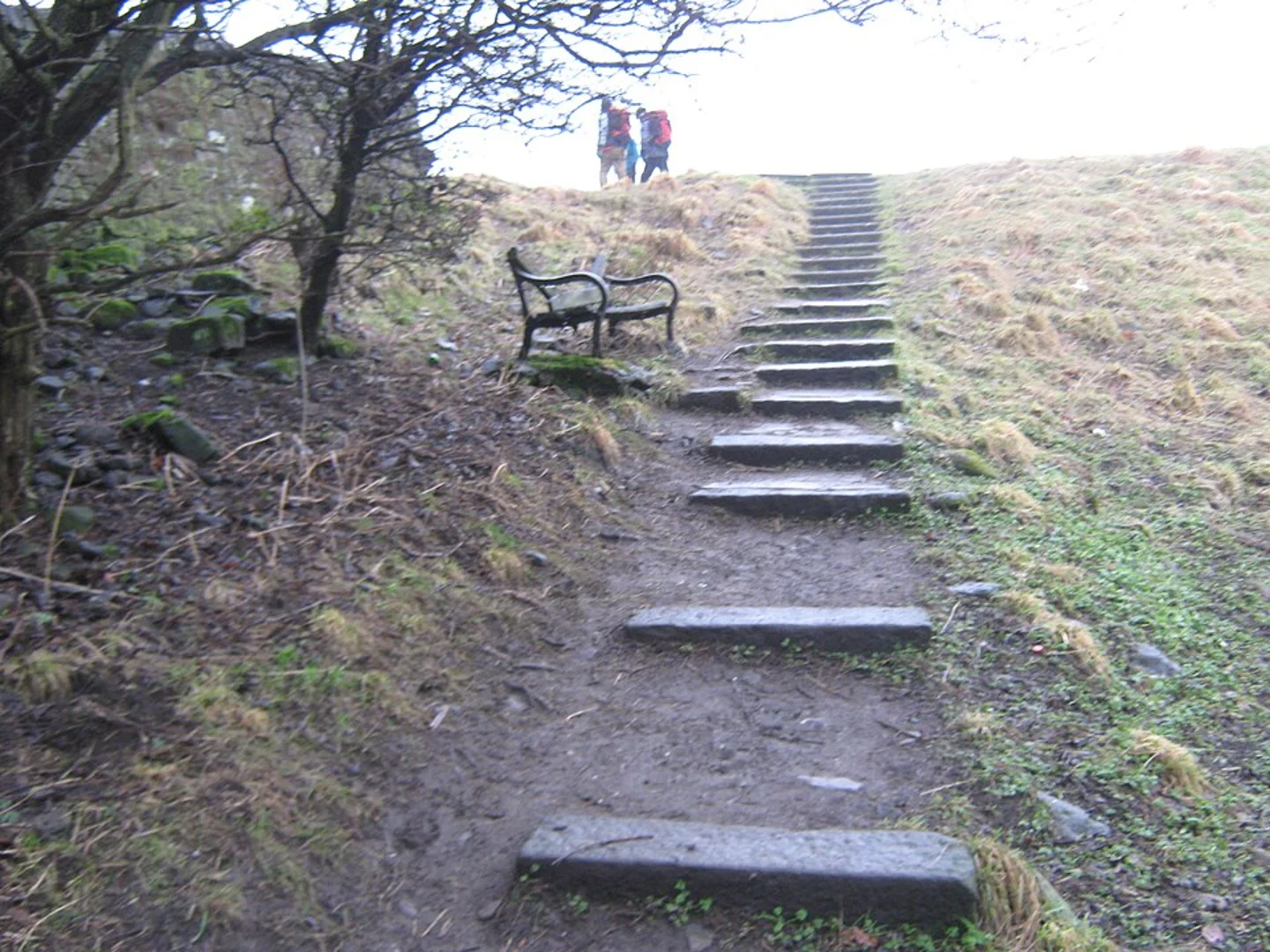 An image depicting the trail River View Park and its surrounding area.