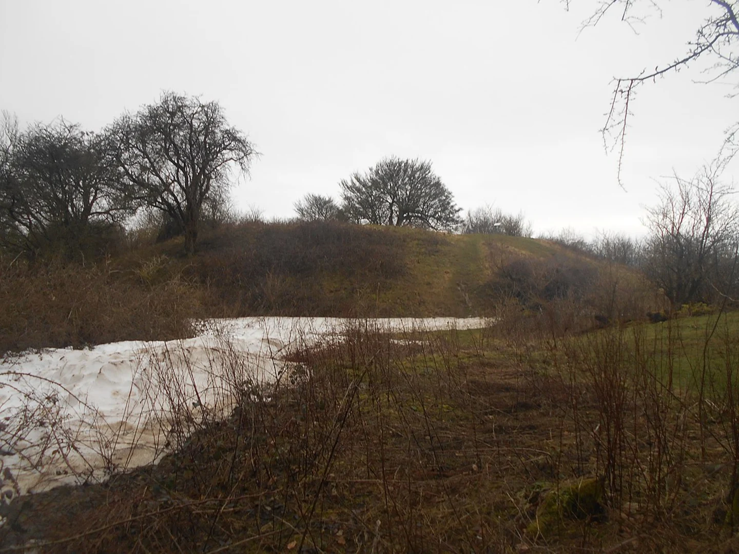 An image depicting the trail Civiley Wood, Cat's Mount and Thurnham Castle and its surrounding area.