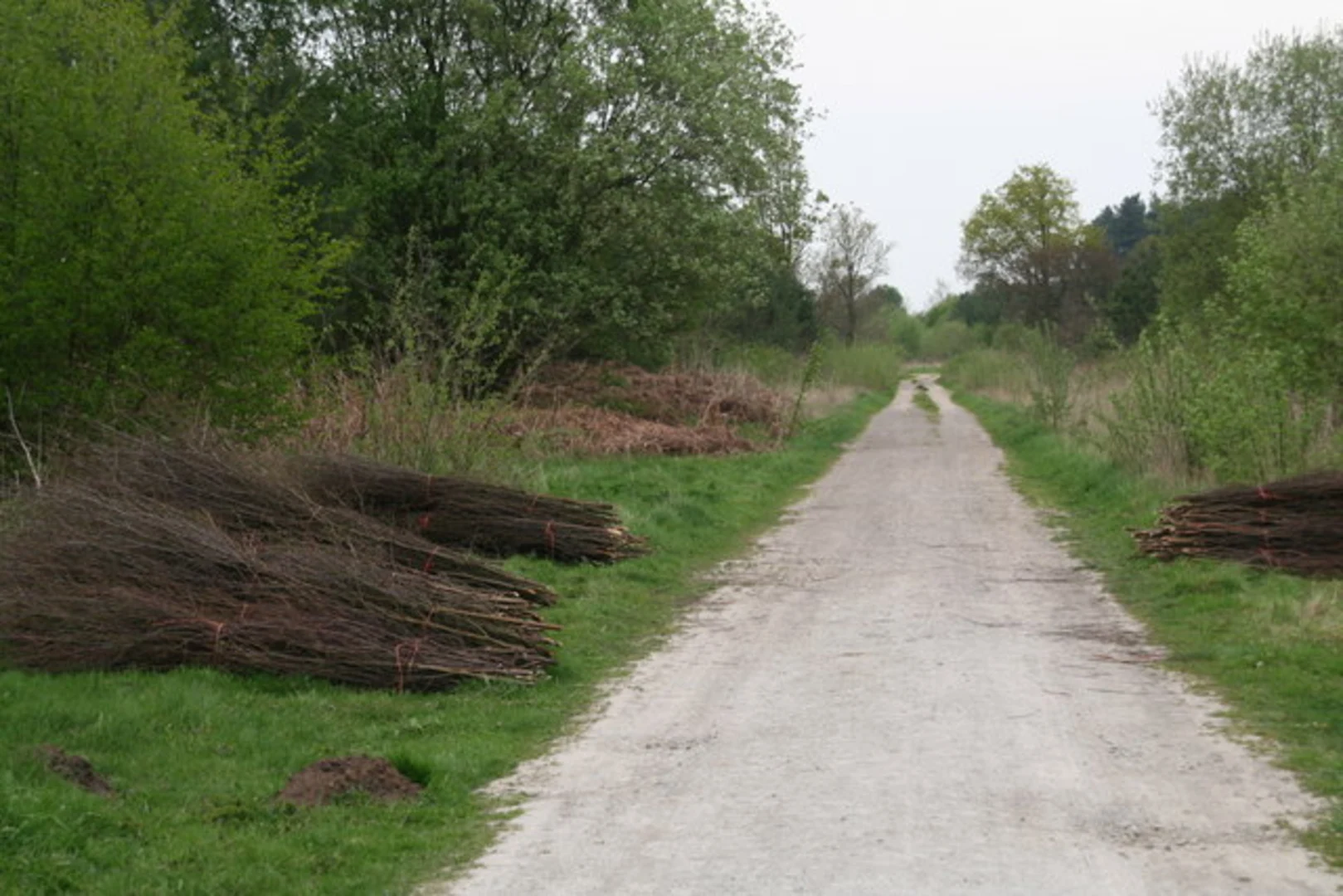 An image depicting the trail Walesby Moor Loop and its surrounding area.