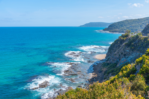 Aireys Eastern View Trail