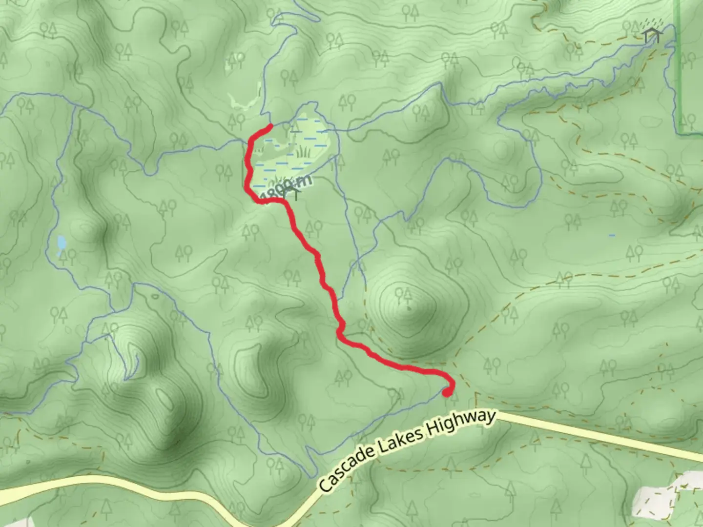 An image depicting the trail Swampy Lakes Trail and its surrounding area.