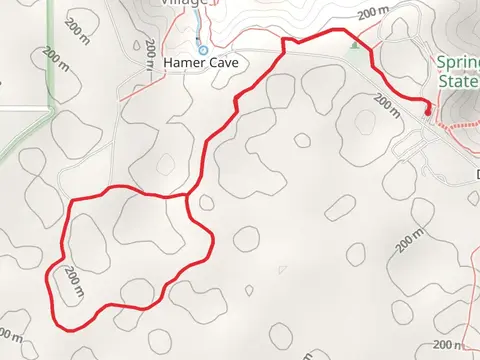 Trail 7 - Woodland Walk