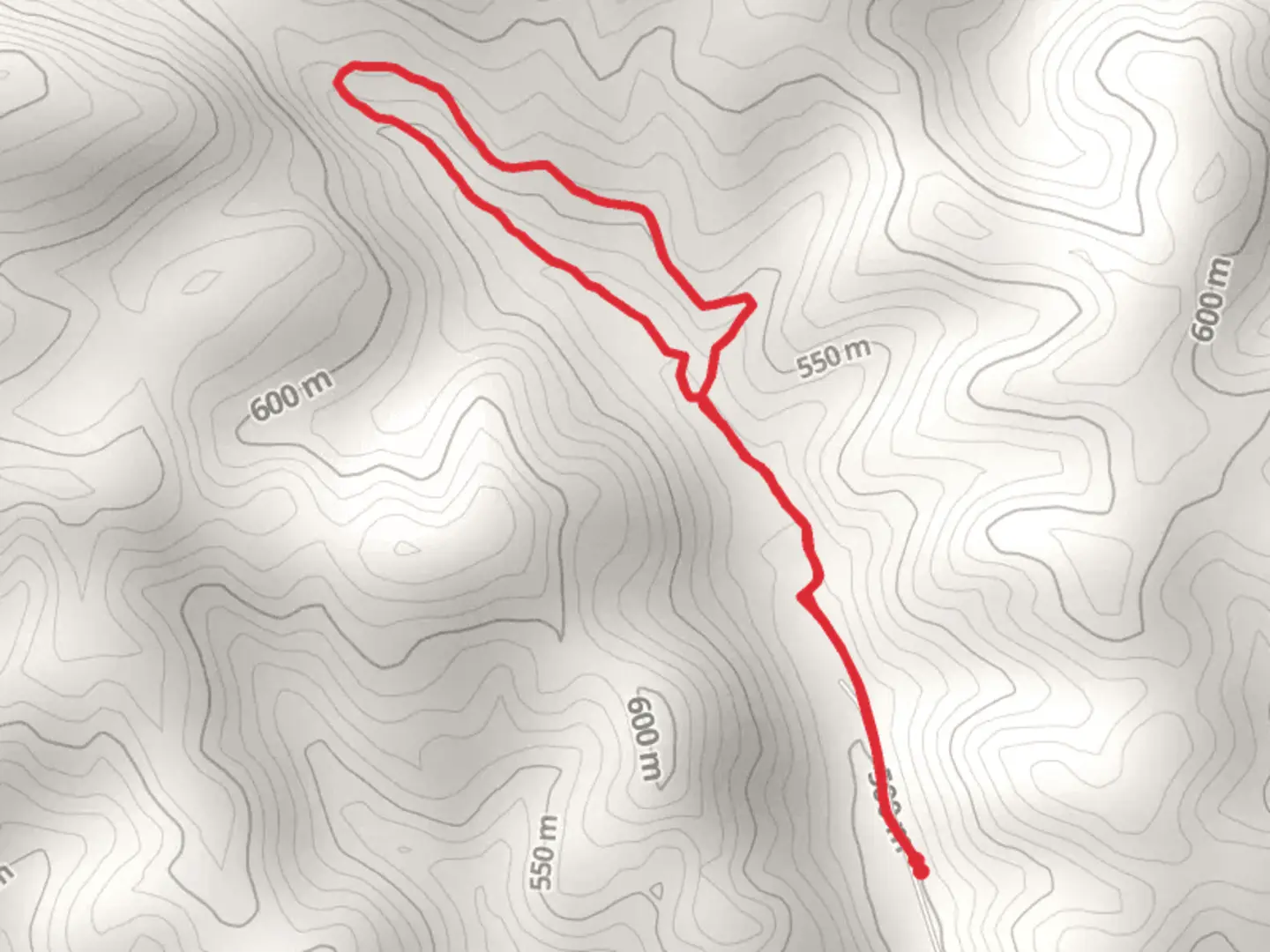 An image depicting the trail Phillips Creek Loop Trail and its surrounding area.