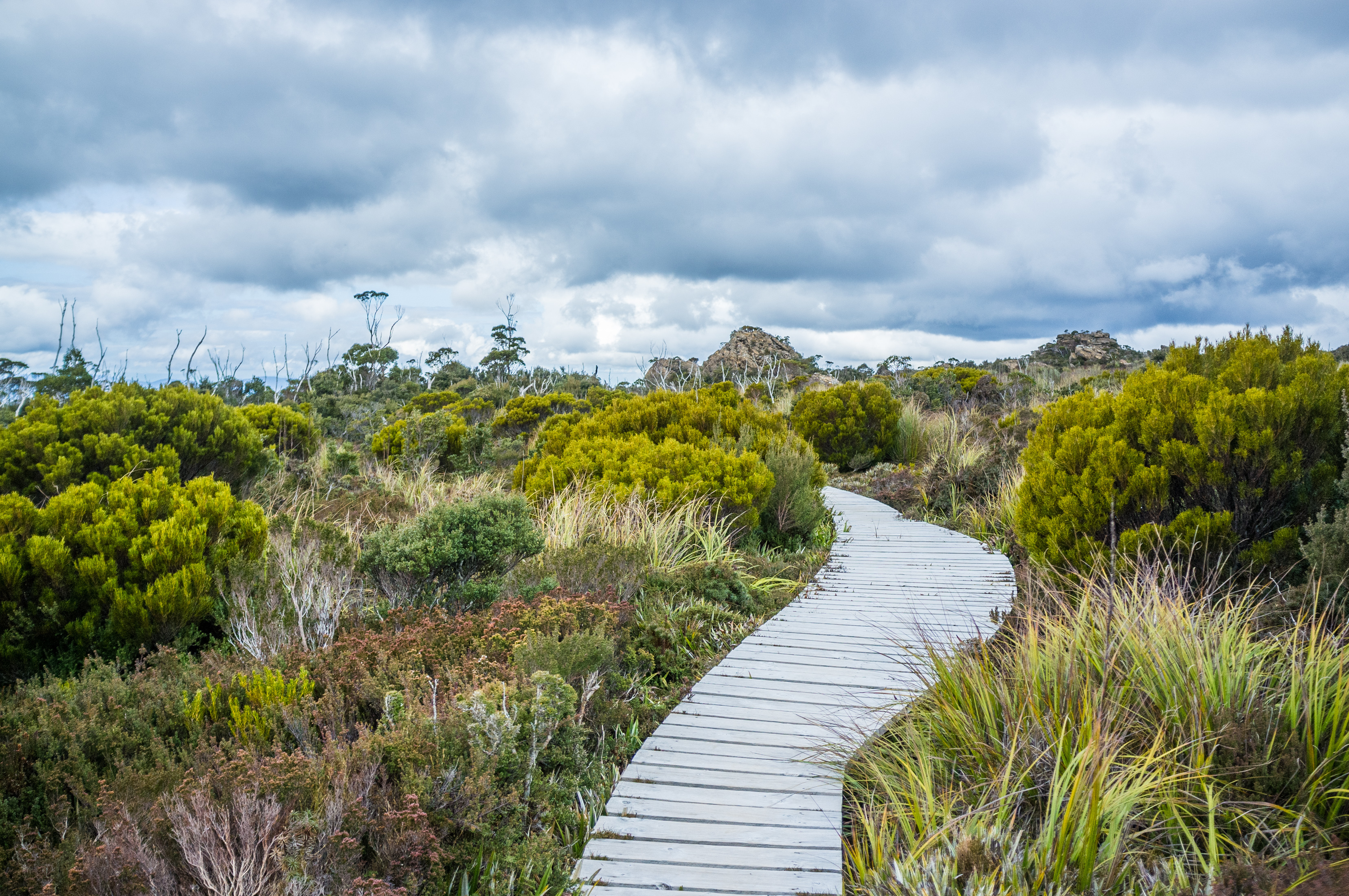 An image depicting the trail Hartz Mountains National Park and its surrounding area.