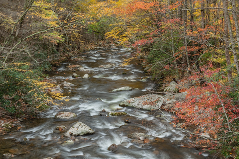 An image depicting the trail Lumber Ridge Trail and its surrounding area.