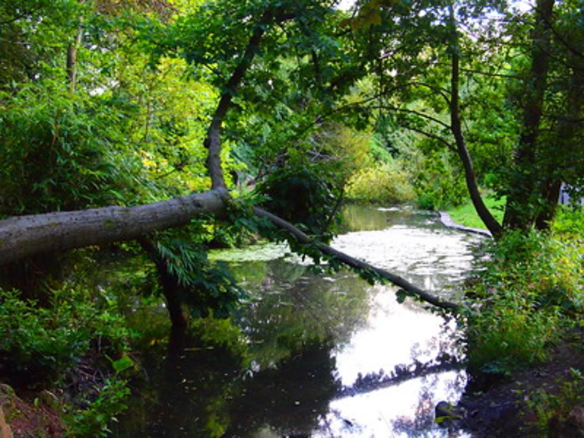 Long Pond Walk - Highbury Park