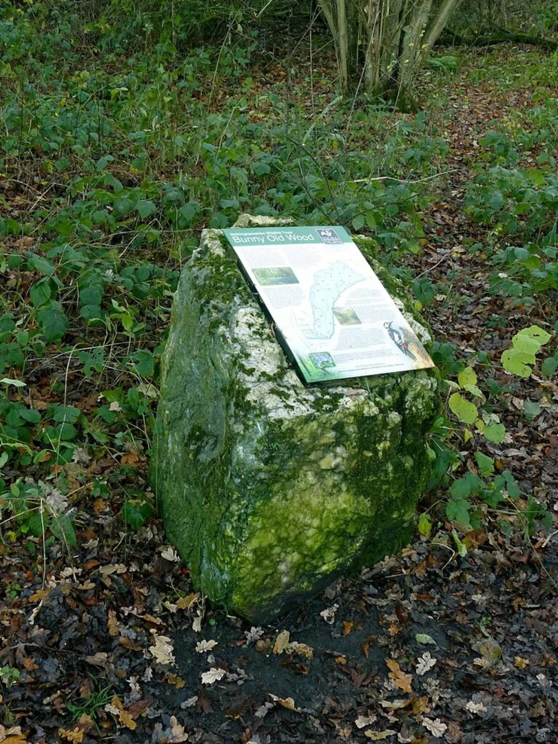 An image depicting the trail Bunny Old Wood Nature Reserve Loop and its surrounding area.