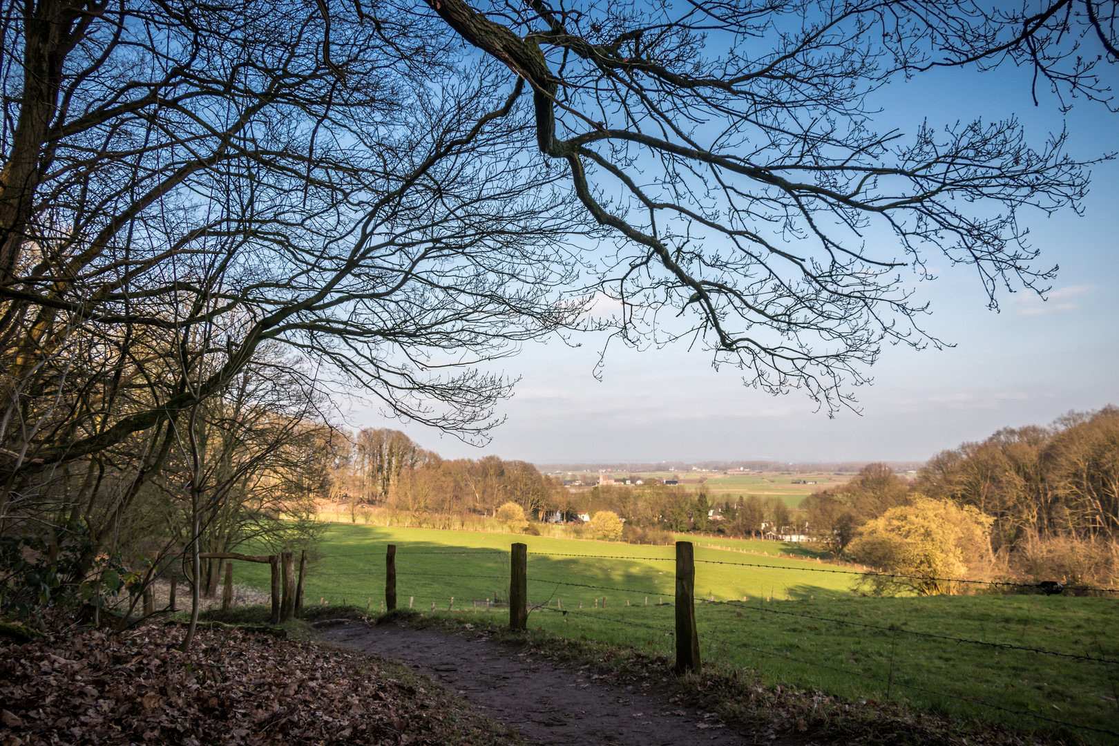An image depicting the trail Torreven and Vossenbergven via Blauw and its surrounding area.